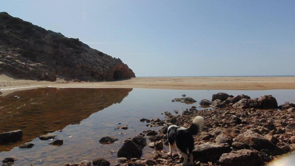 Casa Mestre Vila do Bispo Εξωτερικό φωτογραφία